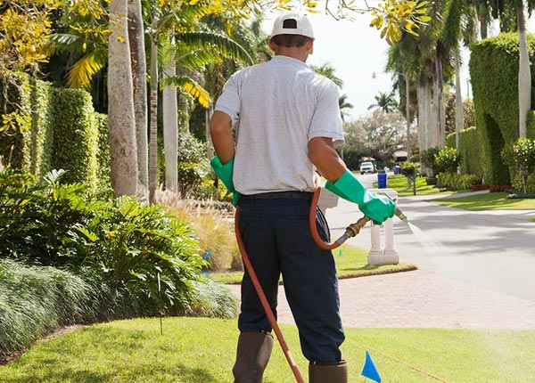 About Callicoon Center NY Pest Control